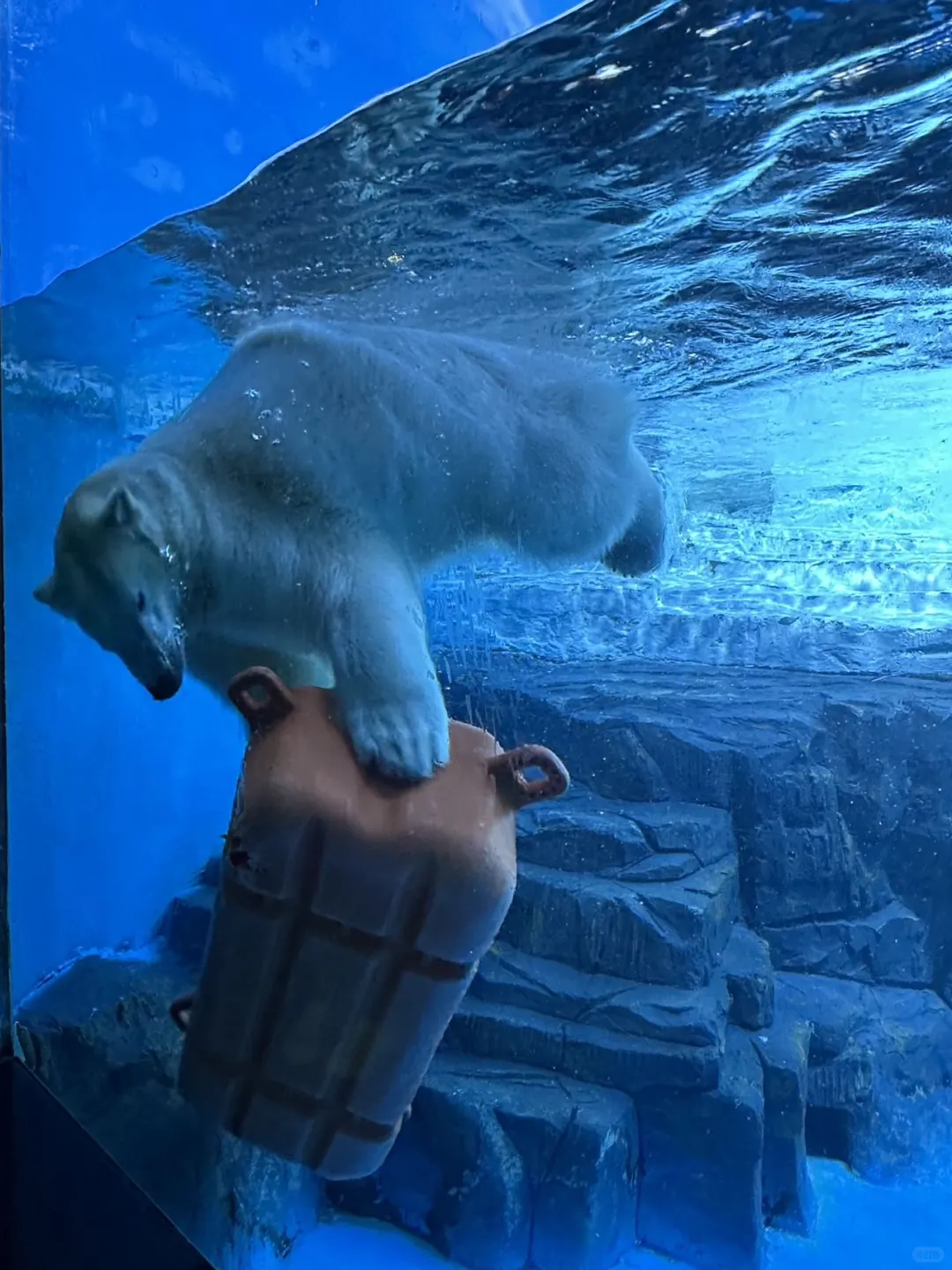 本J人对自己的大连旅游攻略满意的睡不着觉