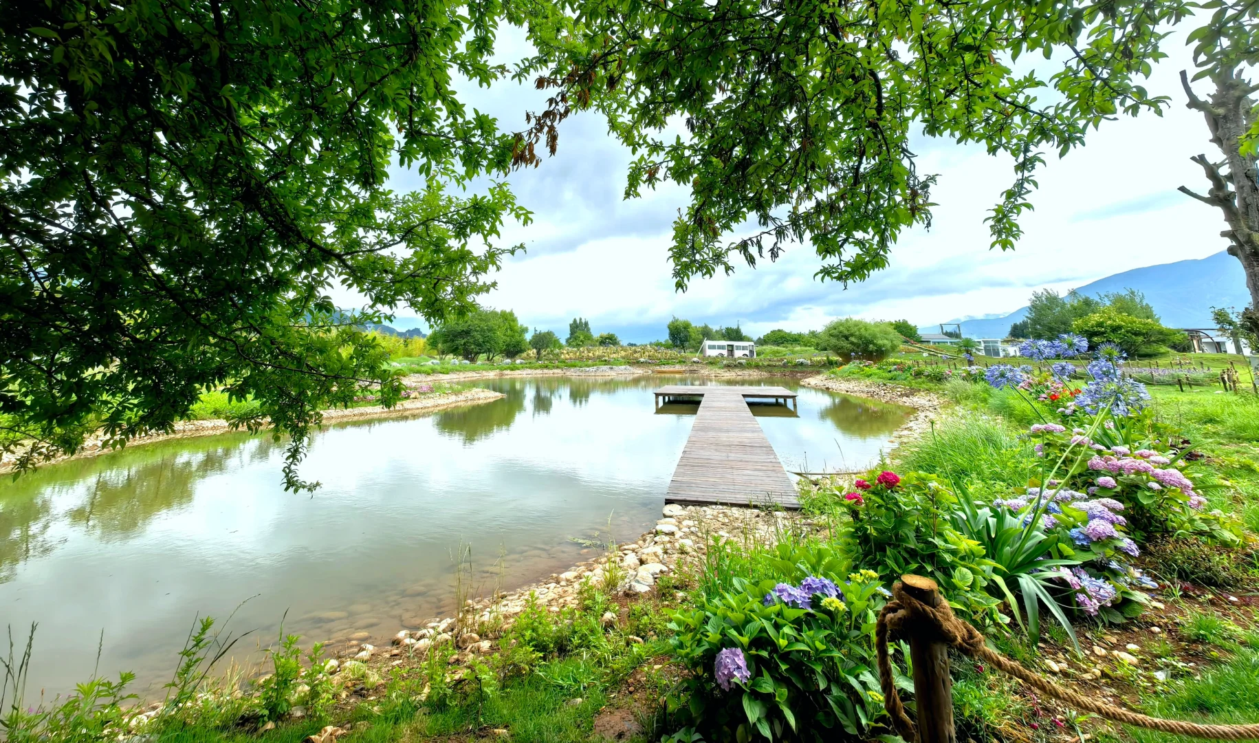 在丽江无意间找到个超级大的咖啡庄园