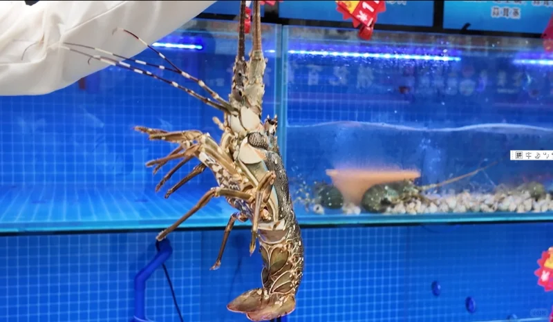 珠海桂山岛2天1夜旅游攻略（低精力懒人版）