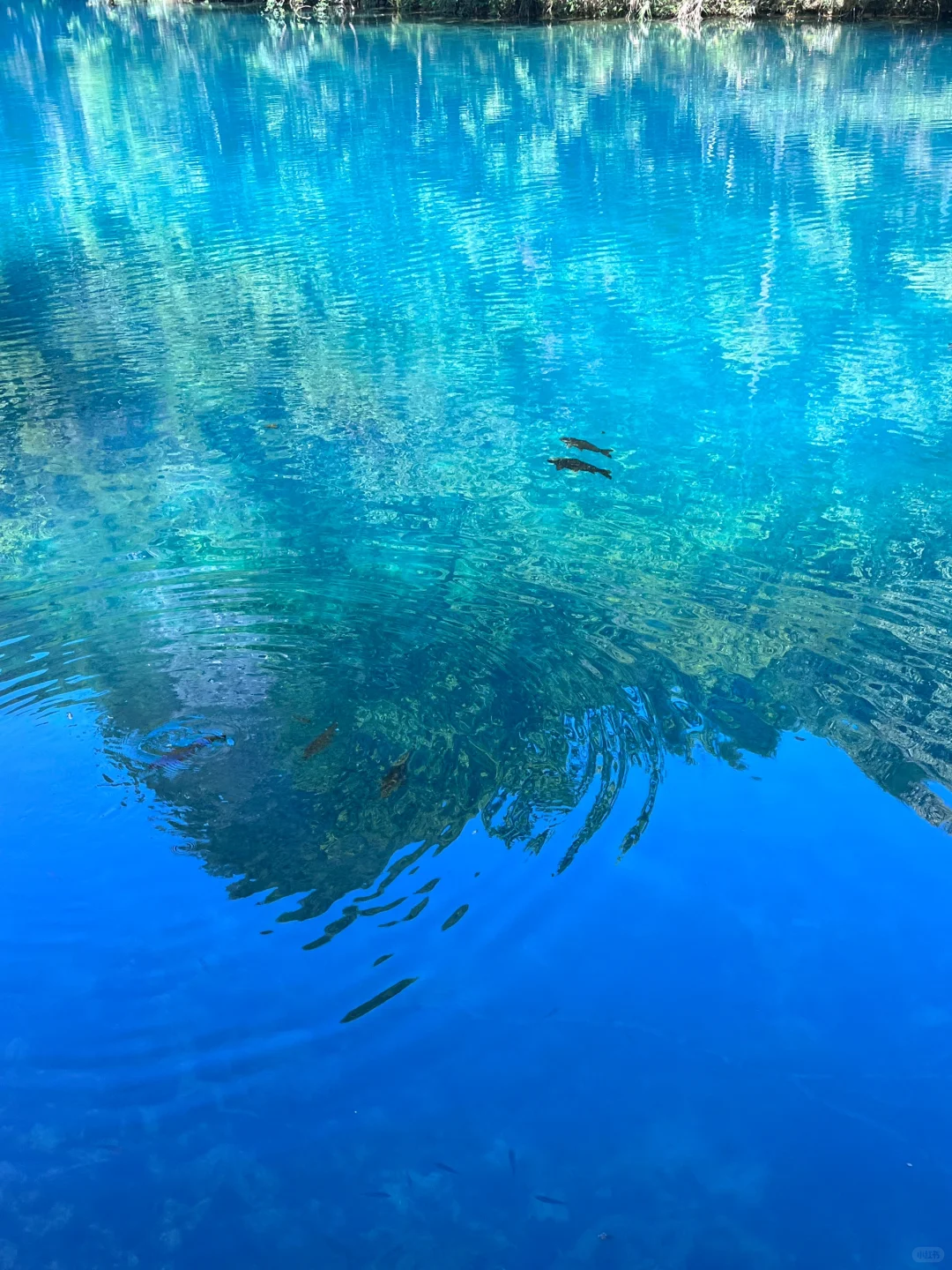 💙 “荔波小七孔，这片蓝是真实存在的吗？！”