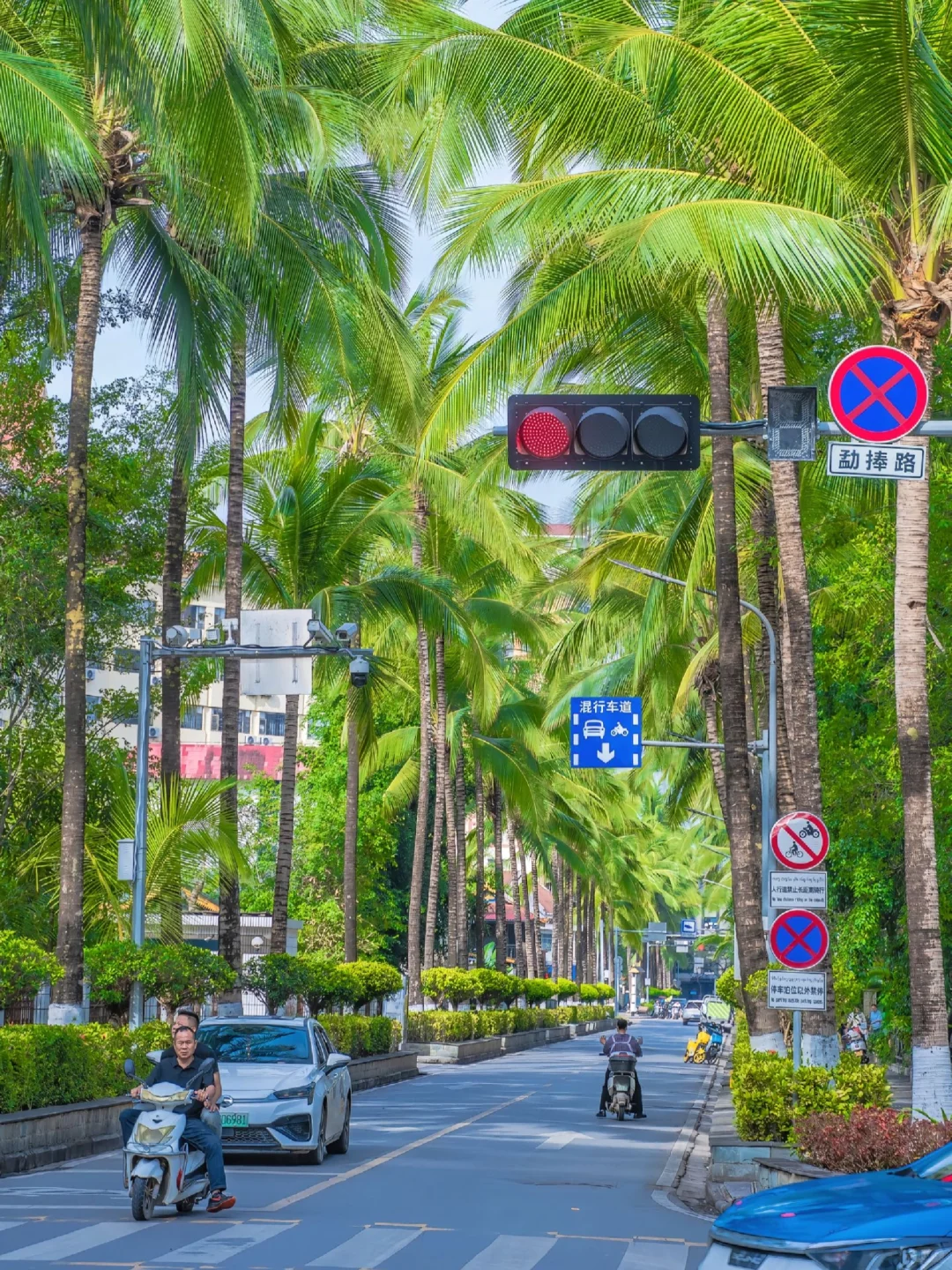 西双版纳，年轻人的快乐老家！