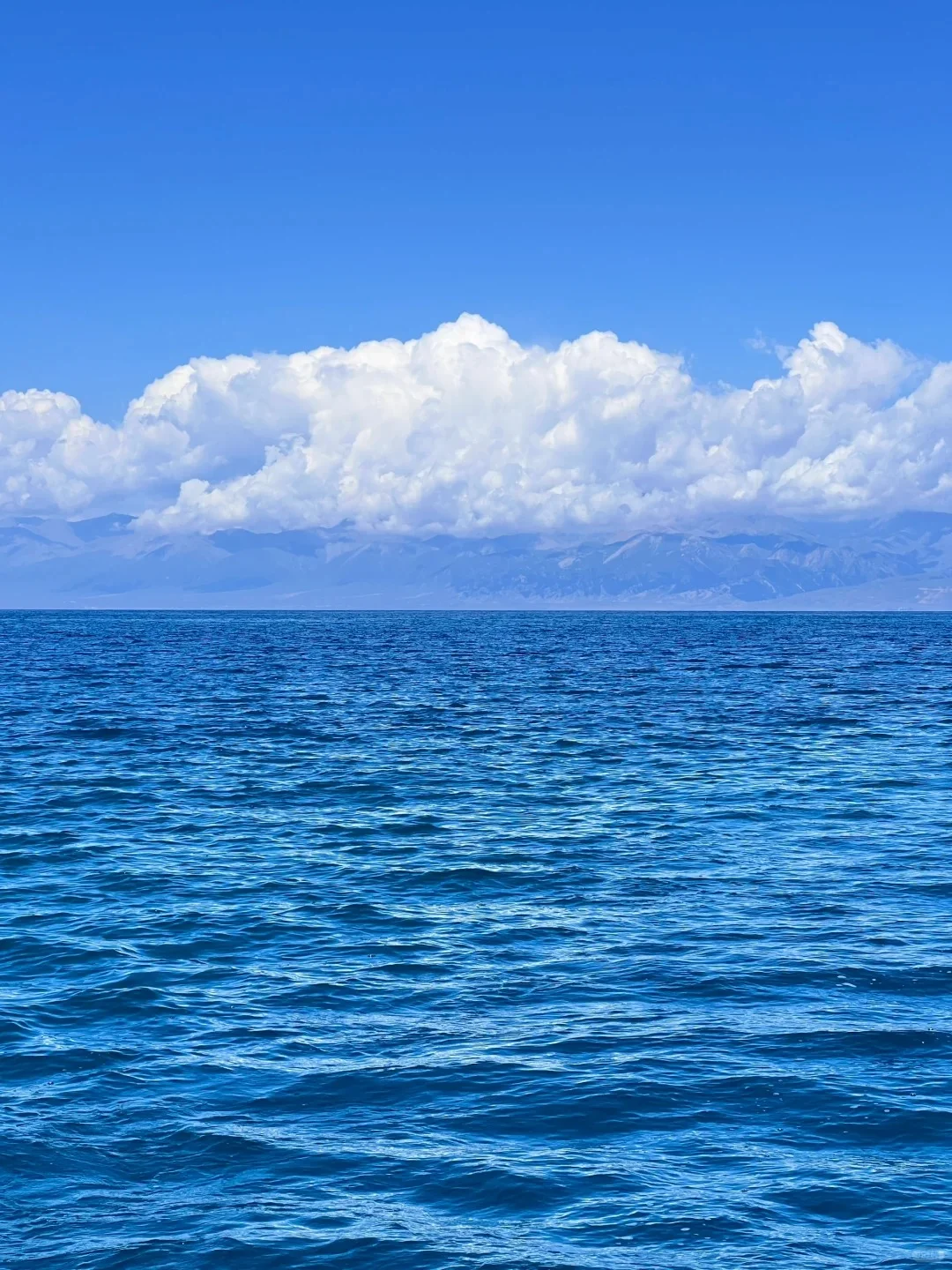 6-8月千万别去新疆伊犁!后劲真的大过失恋