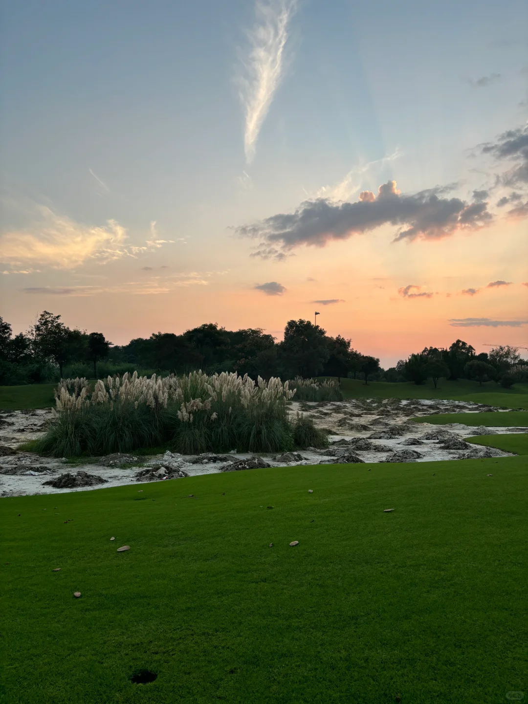 桂海晴岚💚——满满的生命力！！！