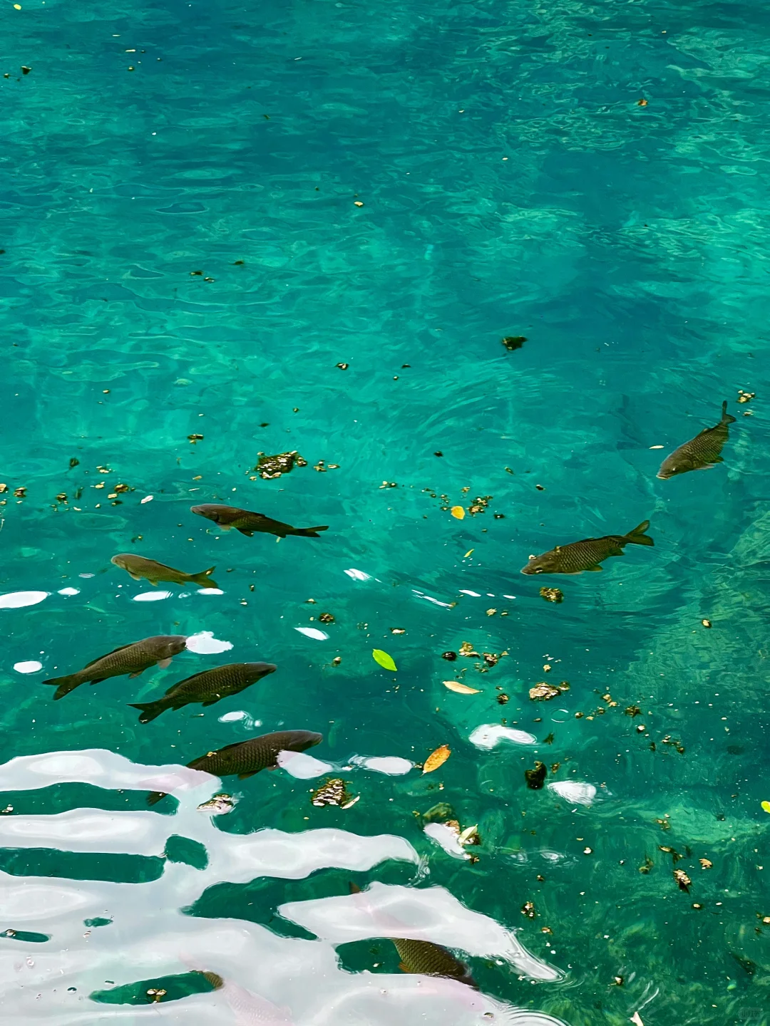 荔波｜地球上的绿宝石