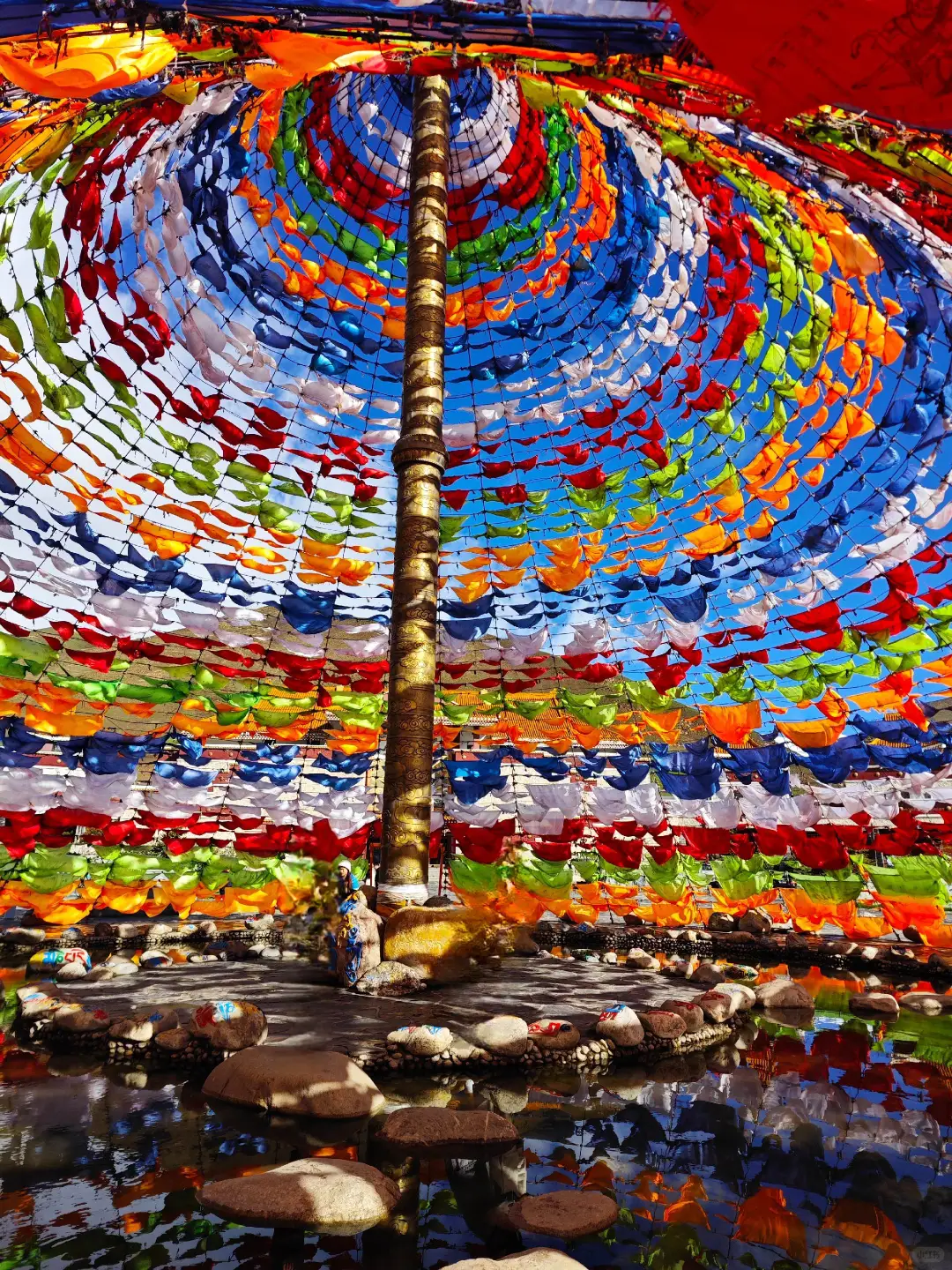 03女大📍青甘八天七夜游❗️❗️❗️