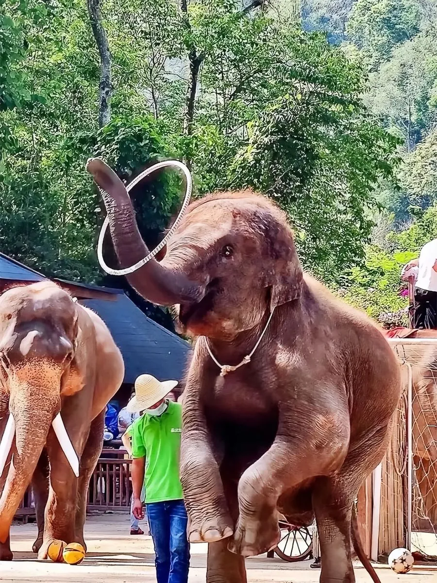 西双版纳，年轻人的快乐老家！