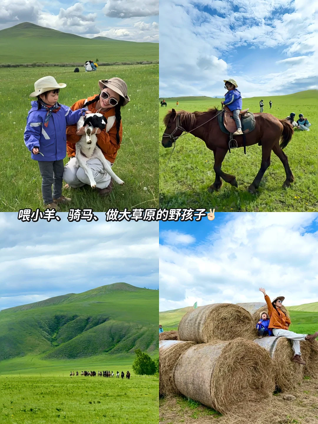 拜托🙏去呼伦贝尔遛娃一定要看这篇‼️全干货