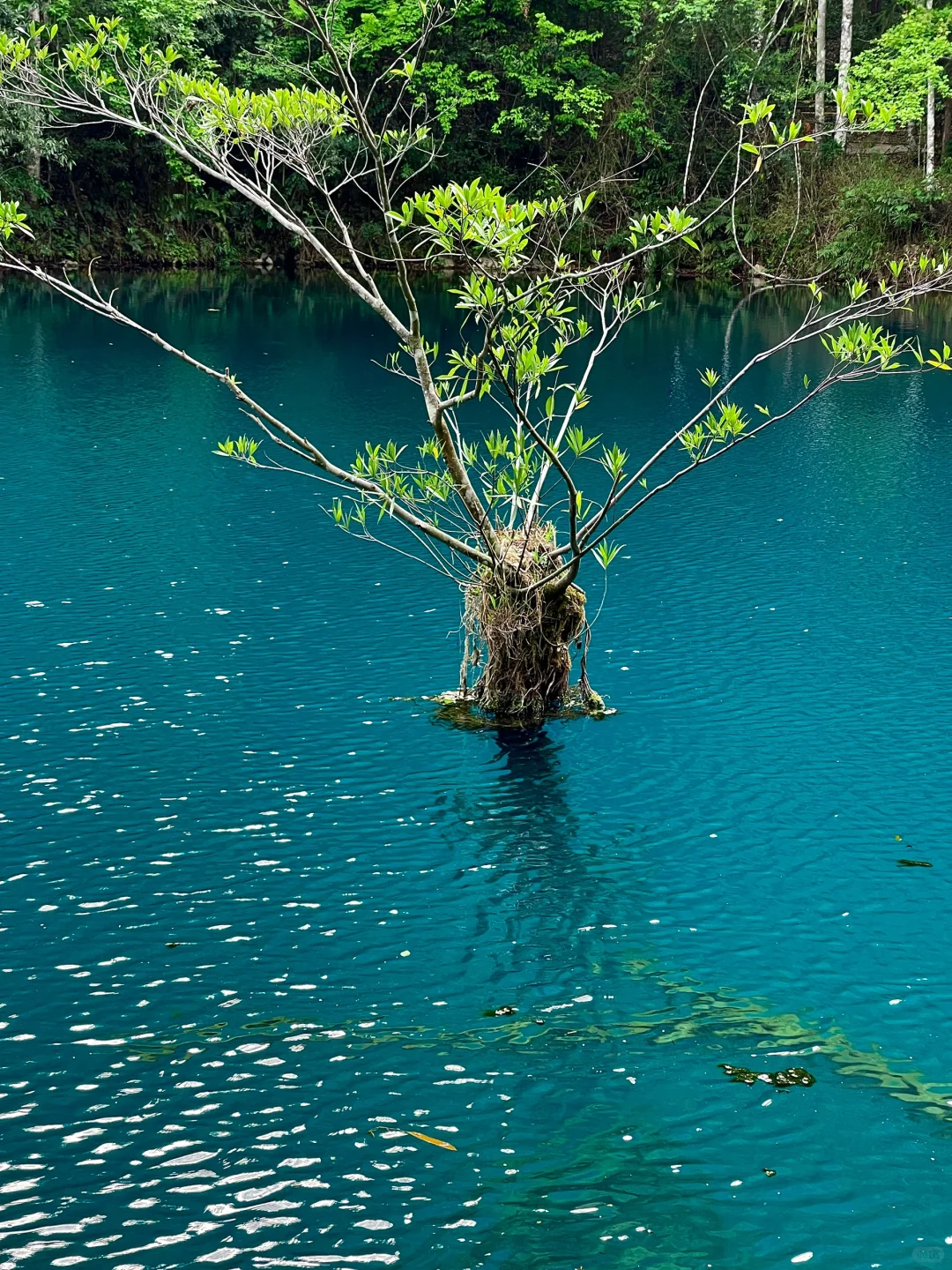 荔波｜地球上的绿宝石
