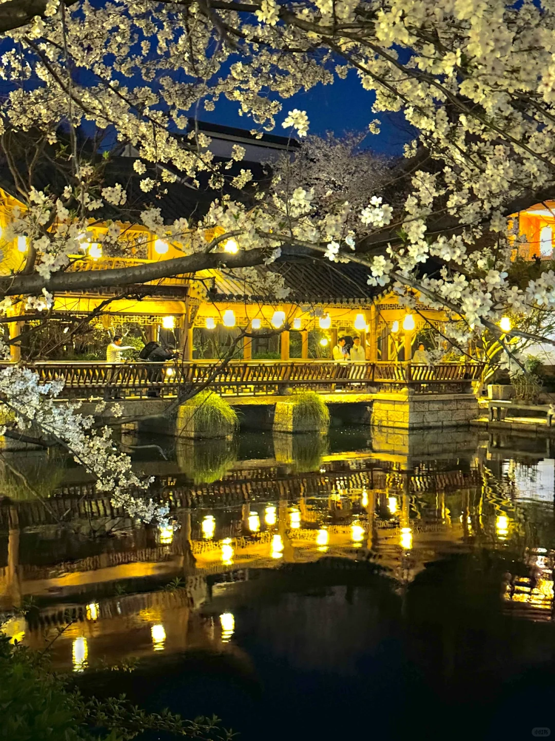 以为西湖已经够美了!直到我去了这里…