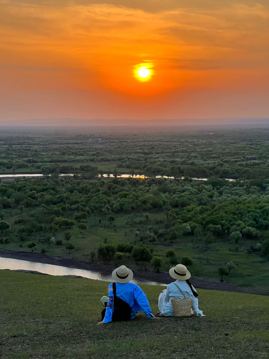 live图 被草原治愈了，美的让人失语～