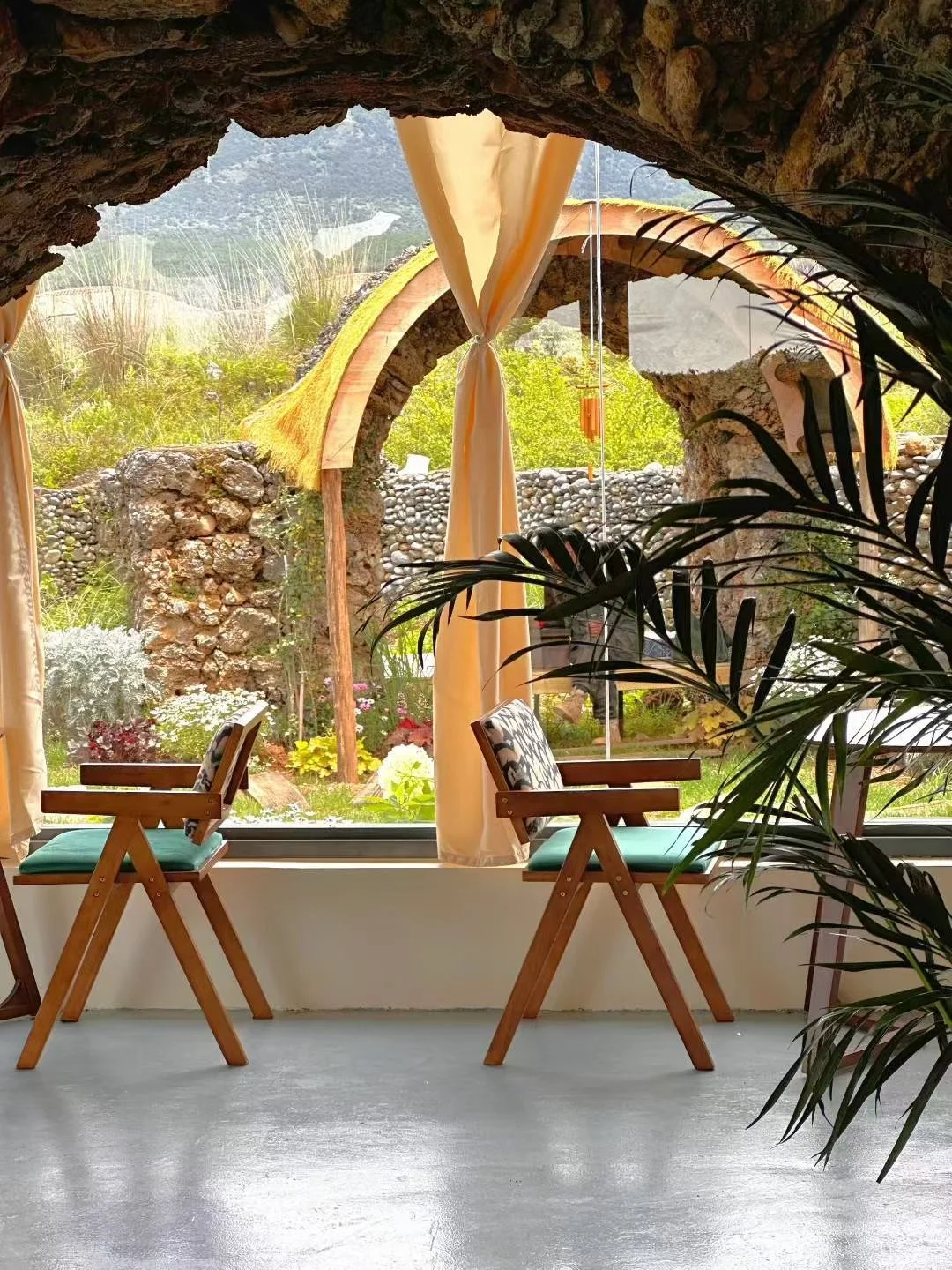 在丽江无意间找到个超级大的咖啡庄园