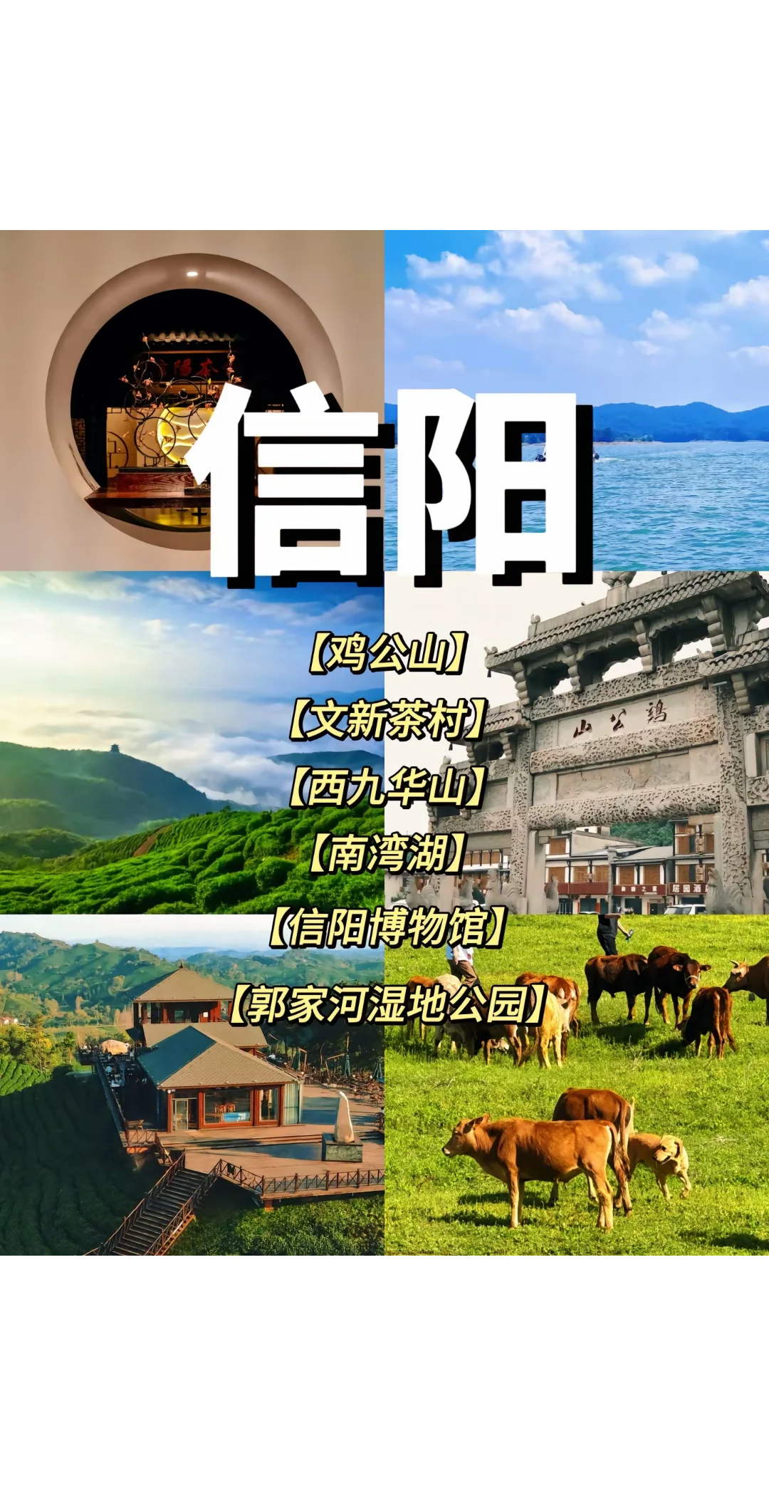 任何人不知道河南怎么玩 我都会难过的