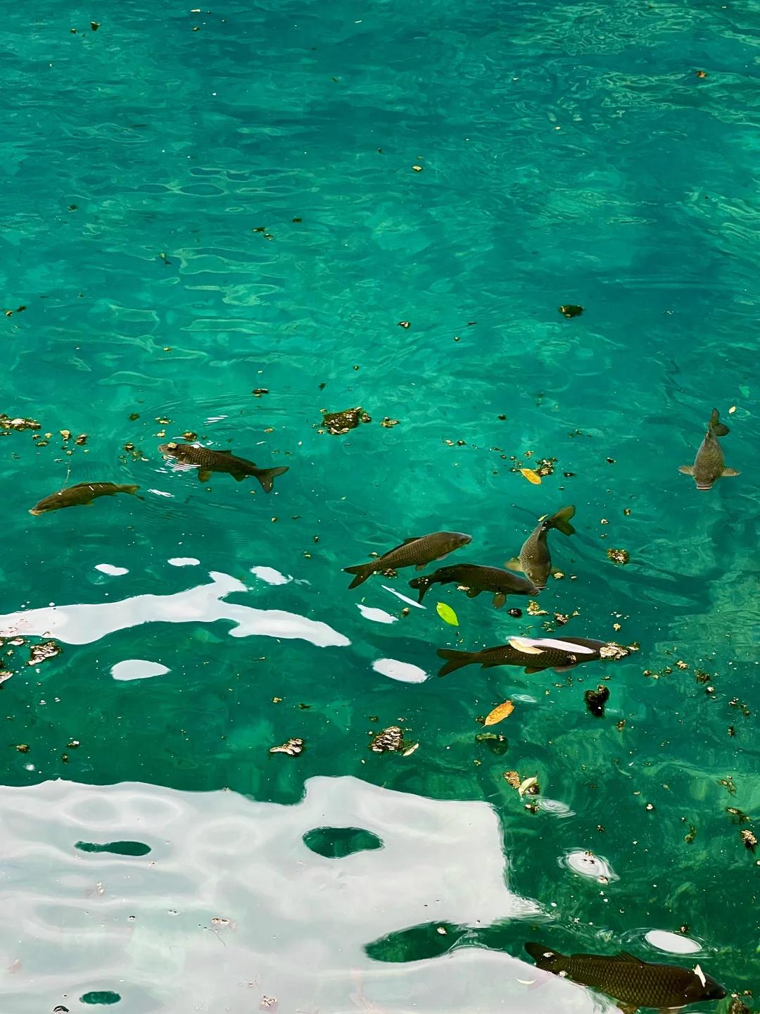 荔波｜地球上的绿宝石