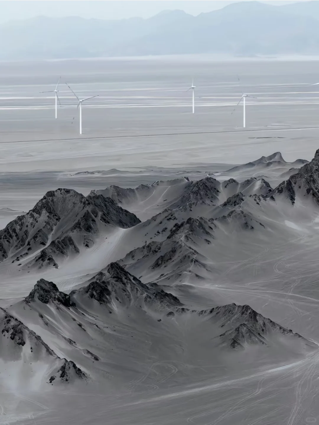 03女大📍青甘八天七夜游❗️❗️❗️