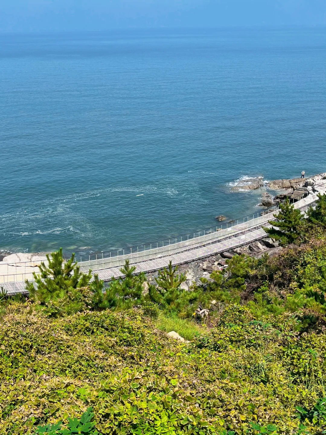 高铁直达🚄江苏被严重低估的绝美海边小城！