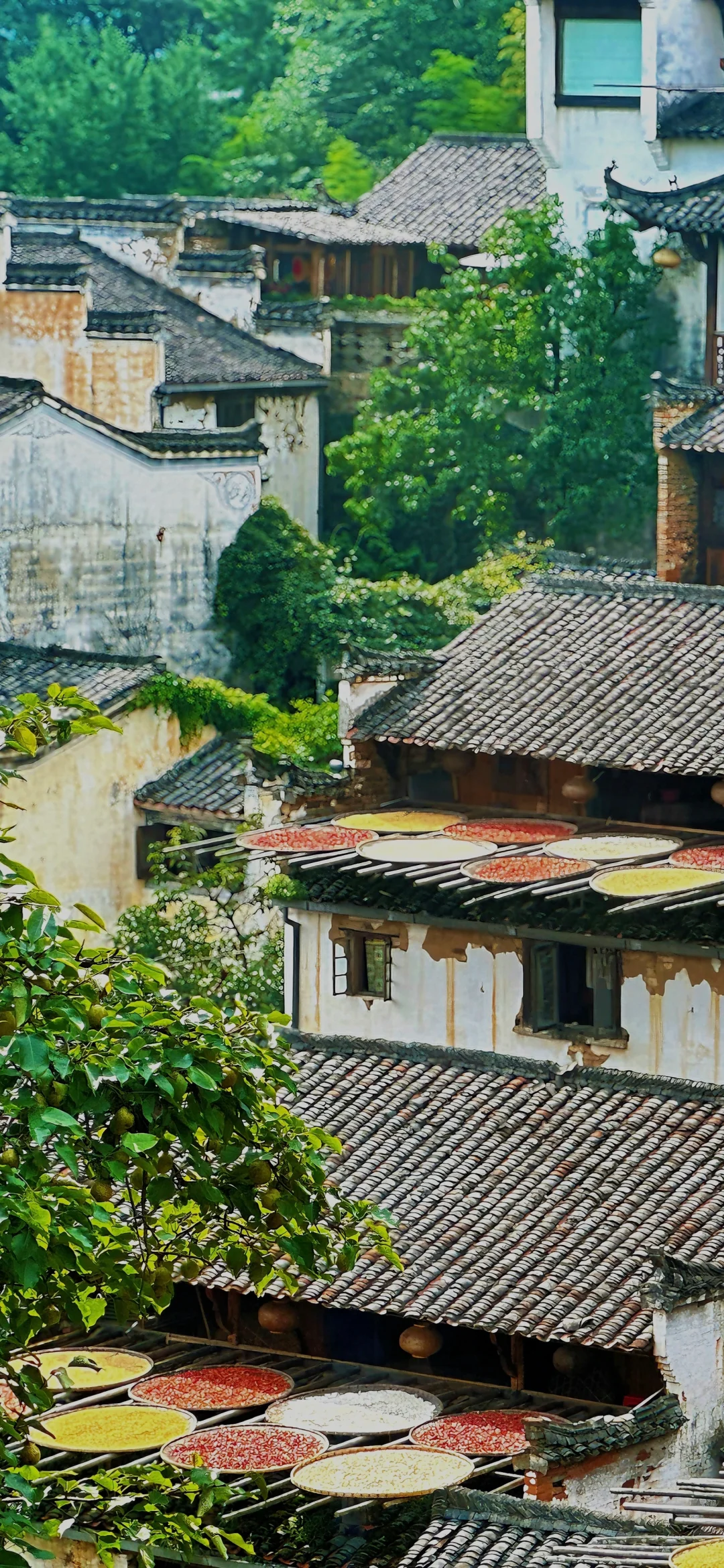 原来国内真的有这种漫画感山水秘境‼️