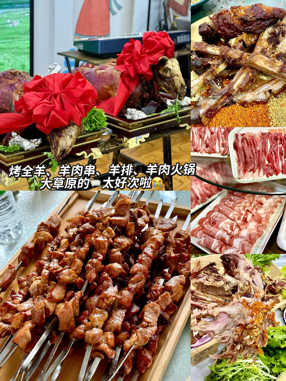 拜托🙏去呼伦贝尔遛娃一定要看这篇‼️全干货