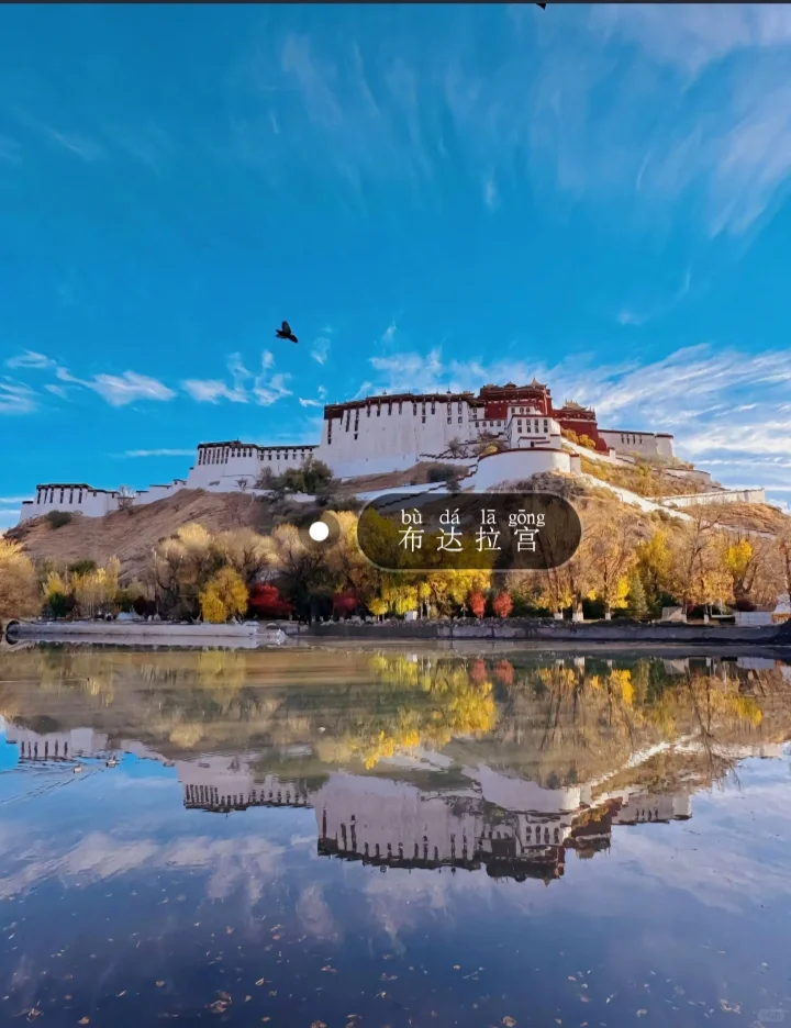 📍𝑿𝒊 𝒁𝒂𝒏𝒈|西藏