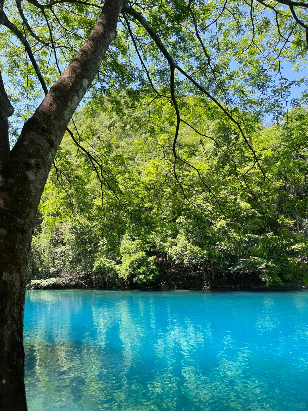 💙 “荔波小七孔，这片蓝是真实存在的吗？！”