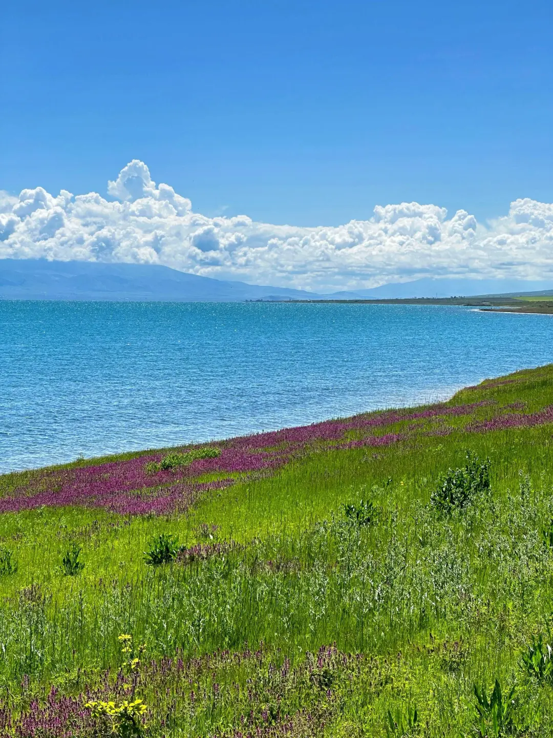 《甘青环线,穿越时空的旅行🌈》