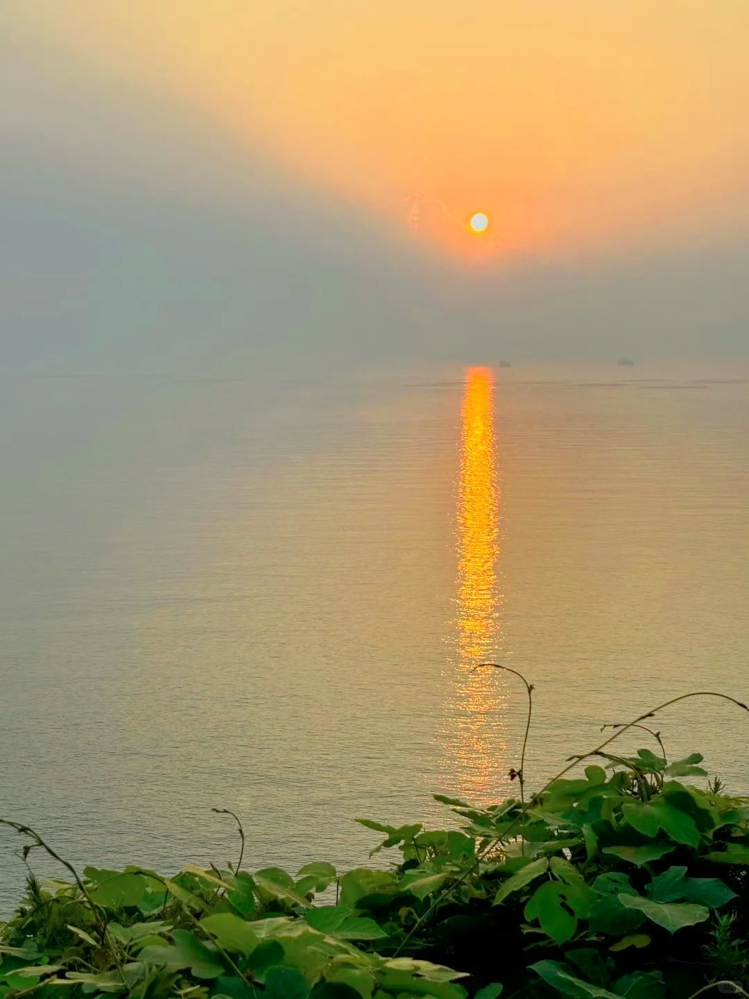 高铁直达🚄江苏被严重低估的绝美海边小城！