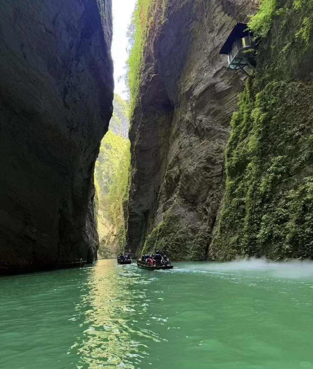 快来！抄作业啦！