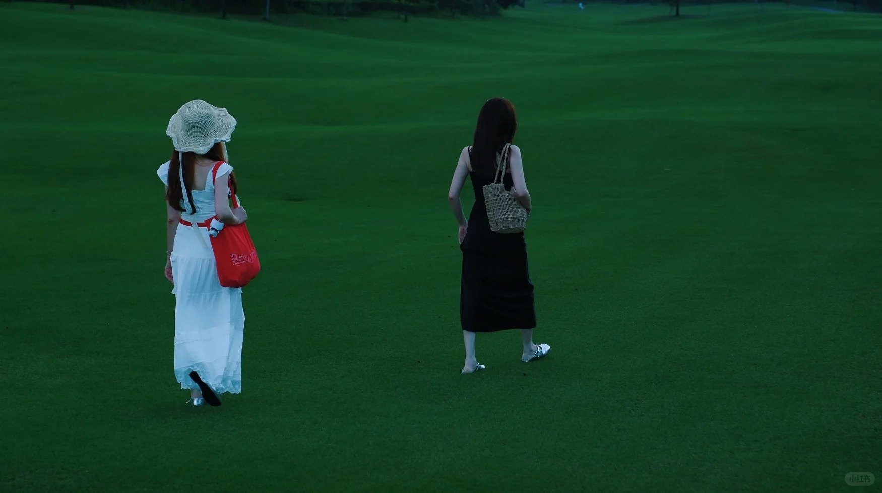 桂海晴岚💚——满满的生命力！！！