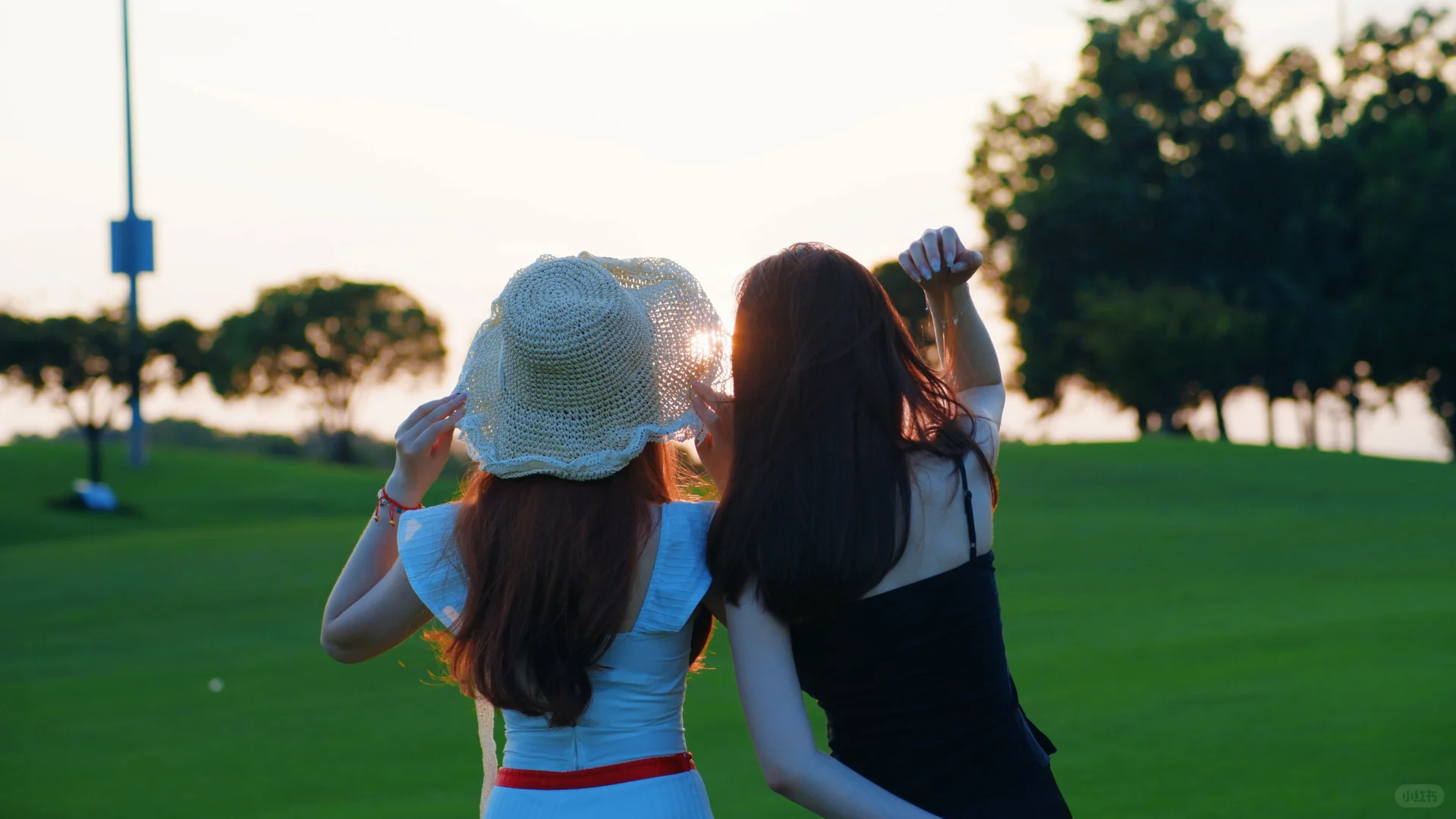 桂海晴岚💚——满满的生命力！！！