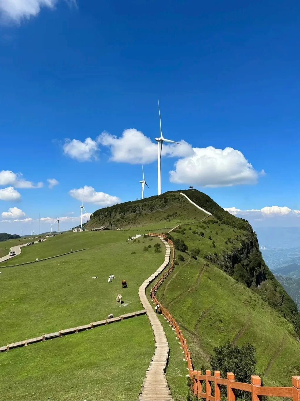 逃离40℃！躲进贵州六盘水的天然空调房