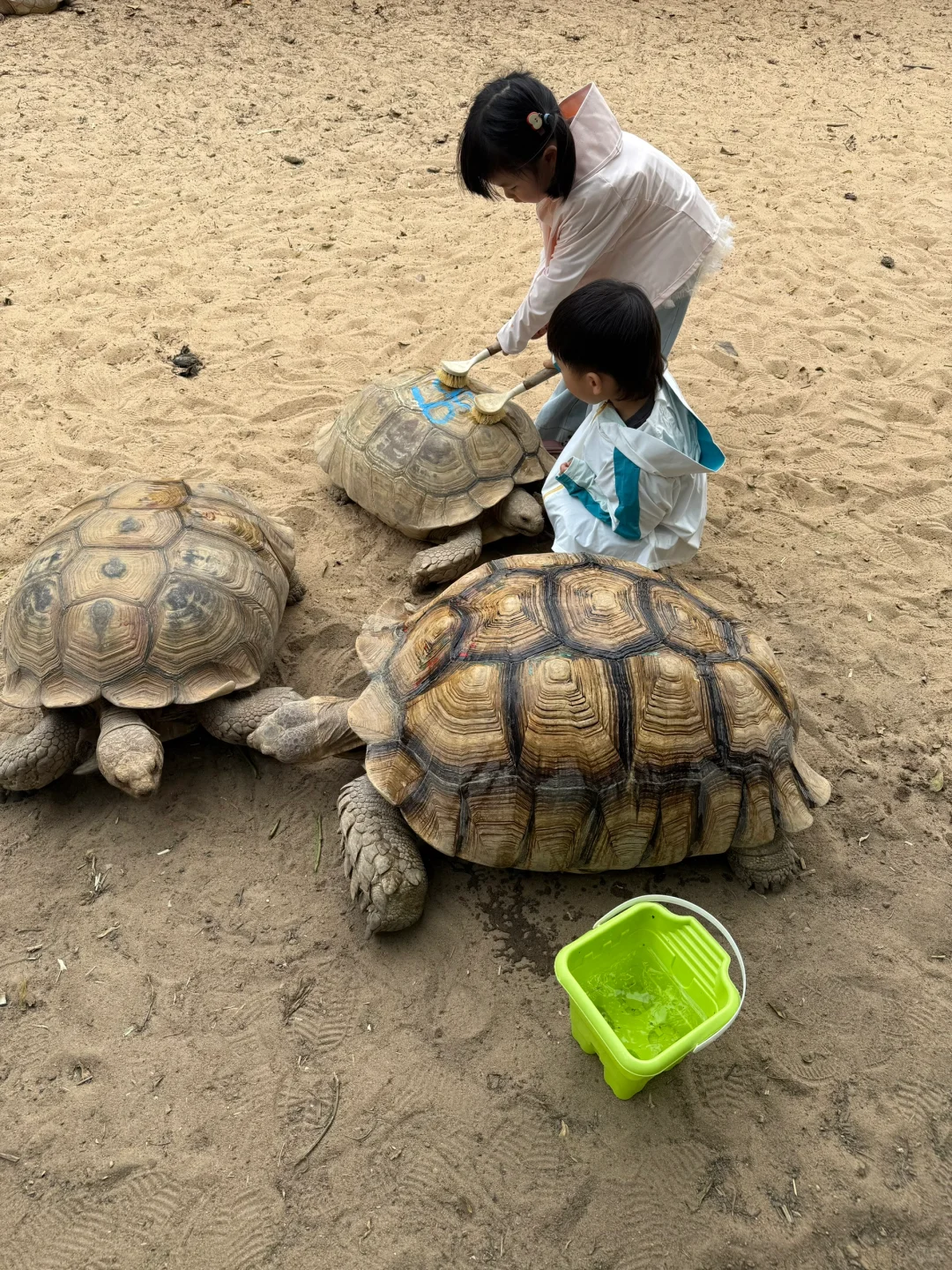 迄今为止...暑假最适合亲子游的城市出现了！