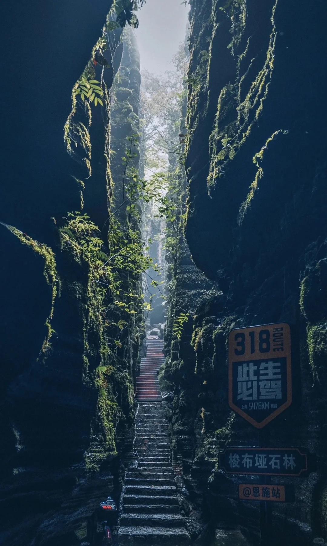 快来！抄作业啦！