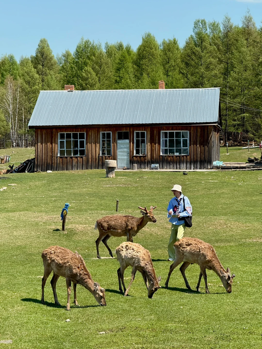 live图 被草原治愈了，美的让人失语～