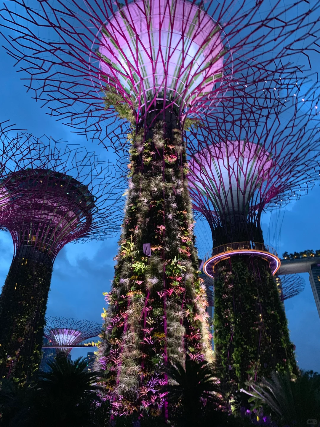 🇸🇬新加坡|有了这份旅行攻略再也没踩过雷