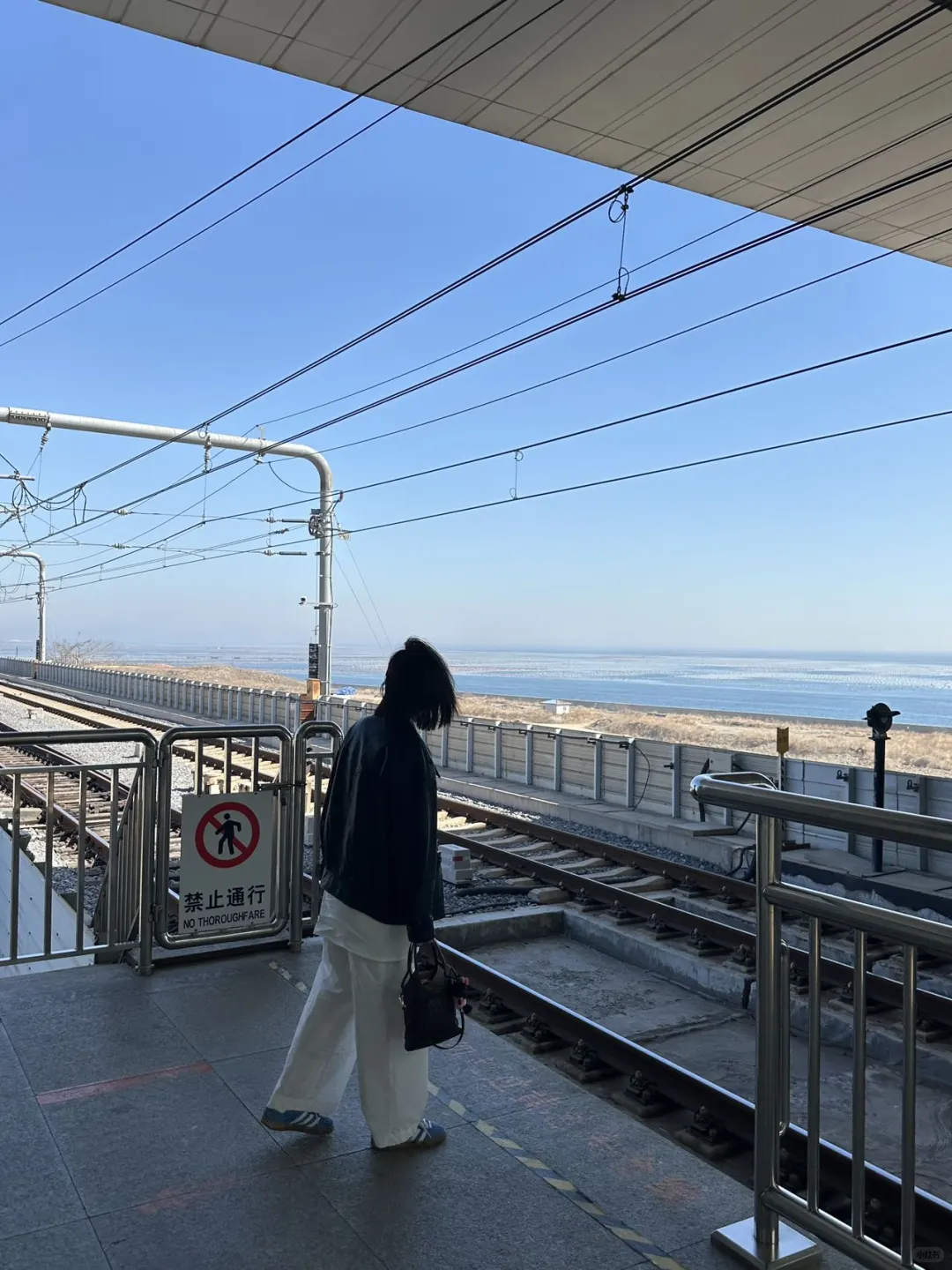 本J人对自己的大连旅游攻略满意的睡不着觉