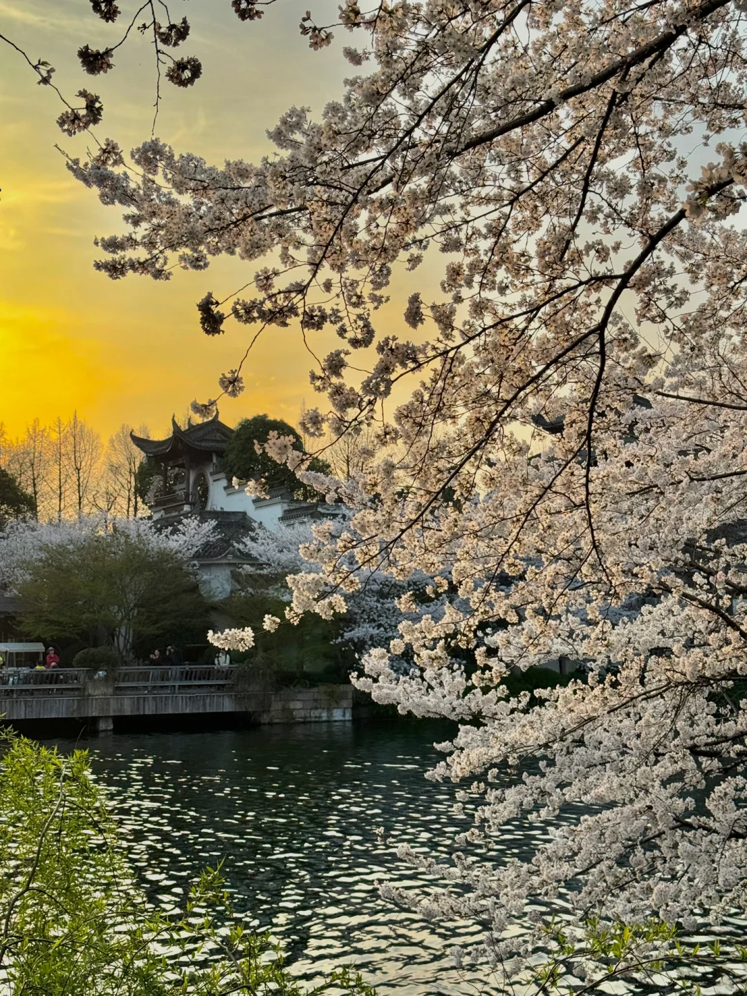 以为西湖已经够美了!直到我去了这里…