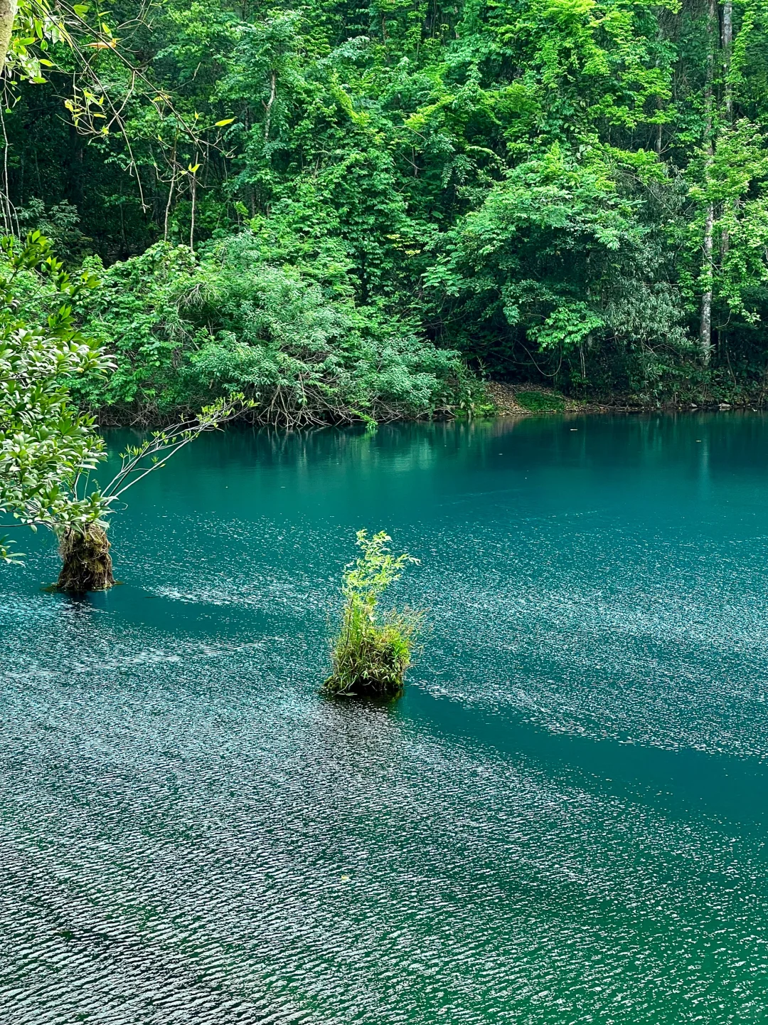 荔波｜地球上的绿宝石