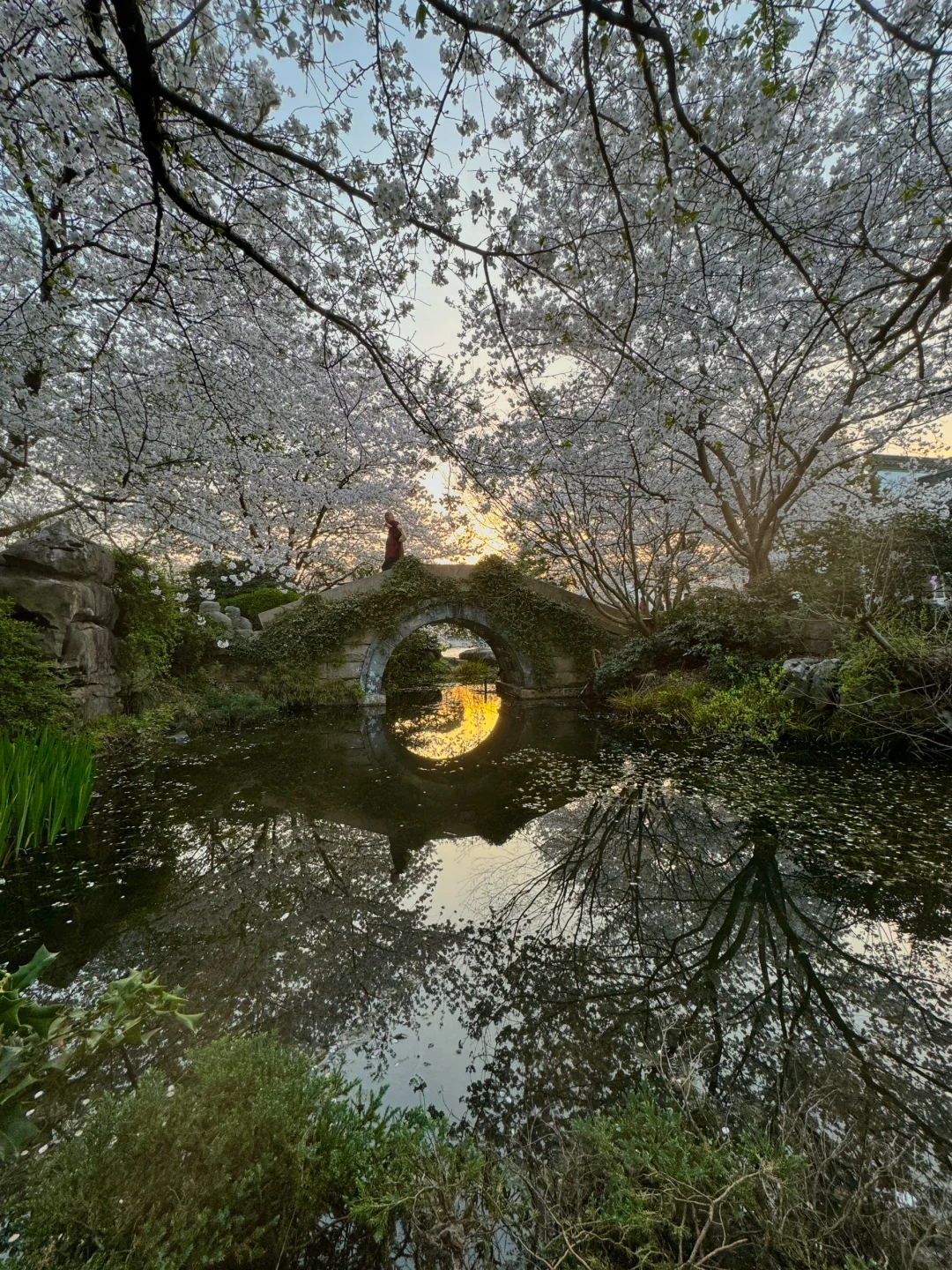 以为西湖已经够美了!直到我去了这里…