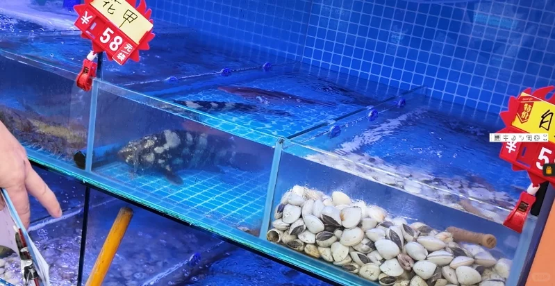 珠海桂山岛2天1夜旅游攻略（低精力懒人版）