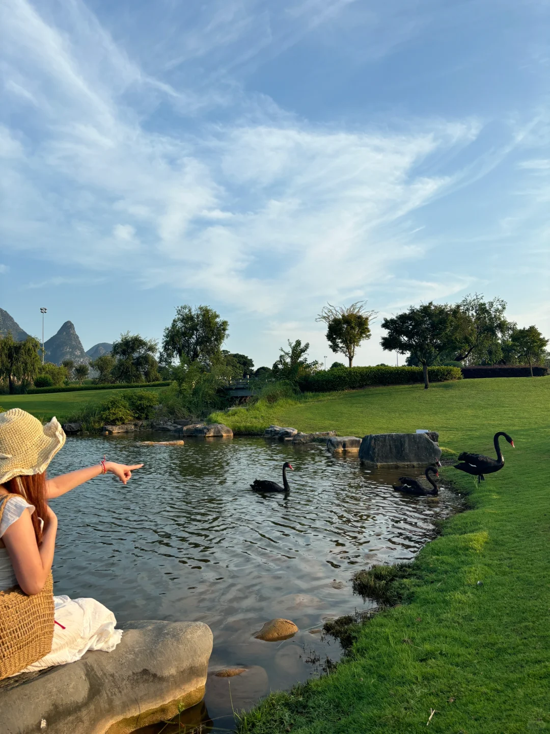 桂海晴岚💚——满满的生命力！！！
