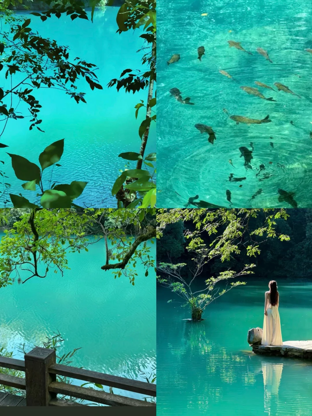 04女大📍贵州｜四天三夜保姆级详细版攻略🔥