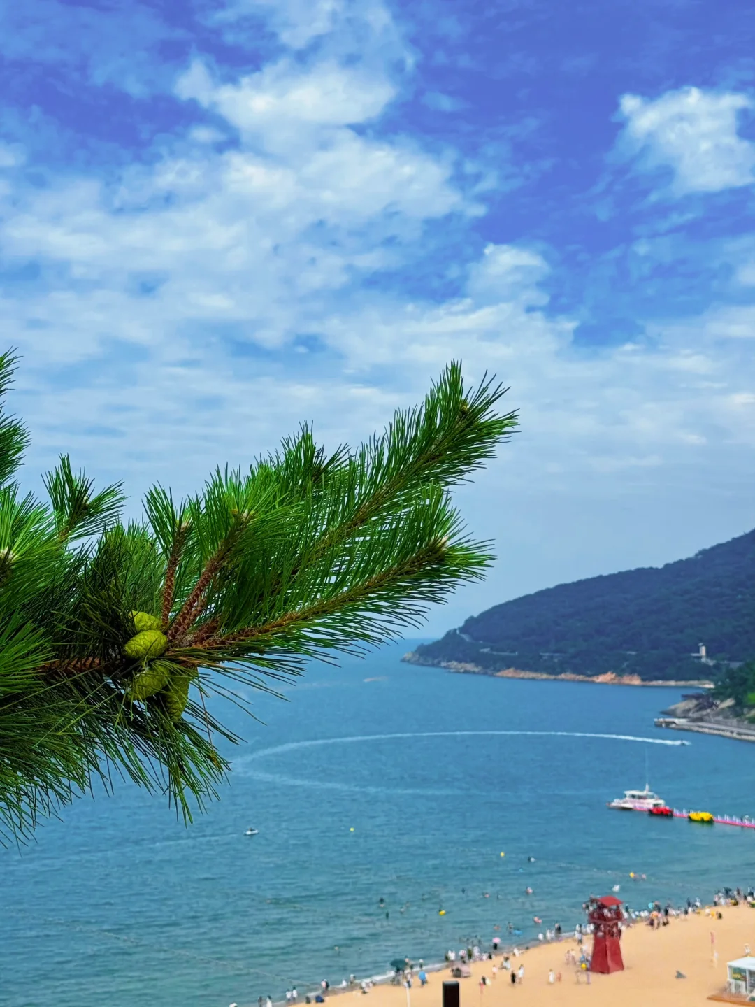 高铁直达🚄江苏被严重低估的绝美海边小城！