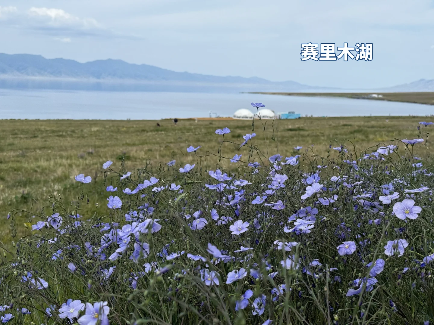 新疆｜疆缰浆江团队集合新疆！！