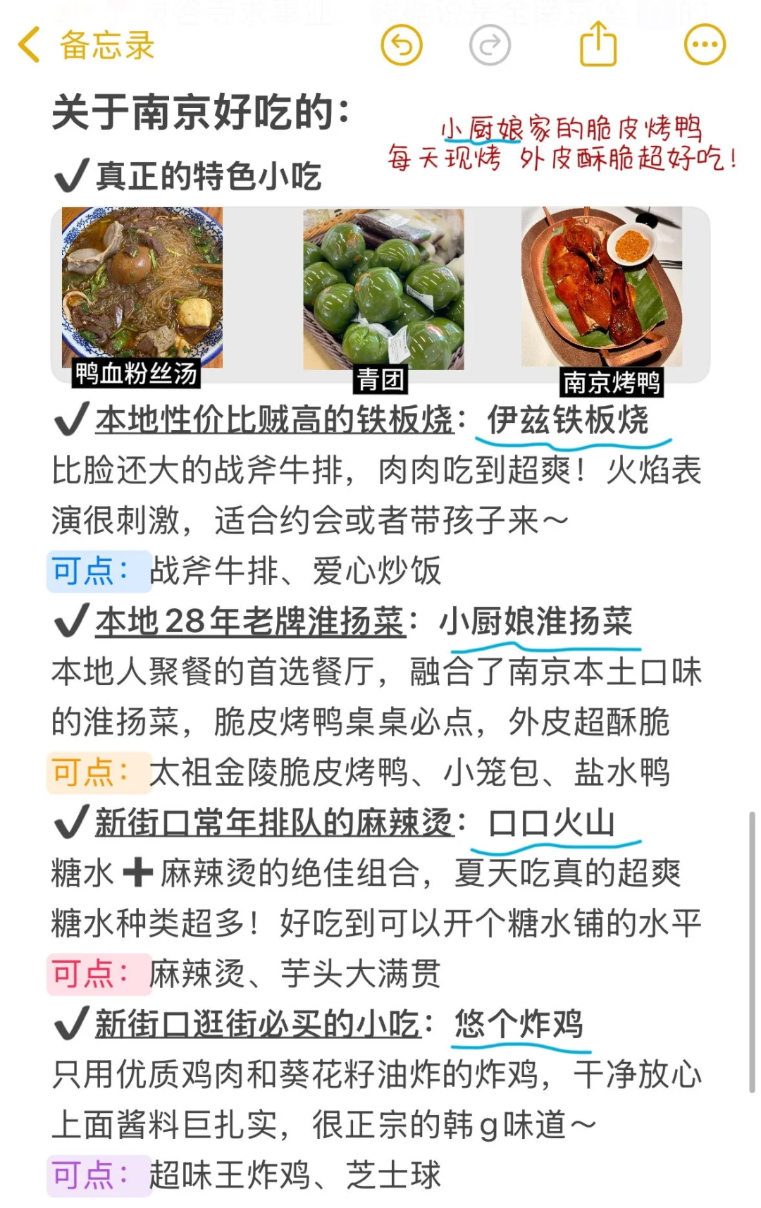 南京本地人写的旅游攻略