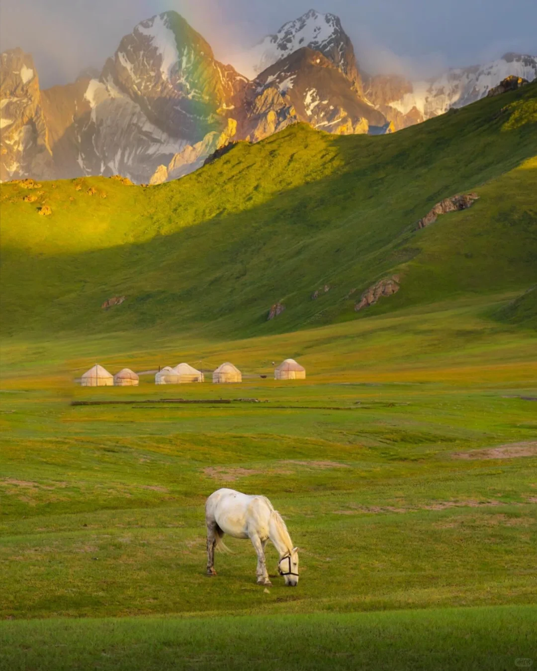 和老公一起去了中亚，比新西兰还要震撼！