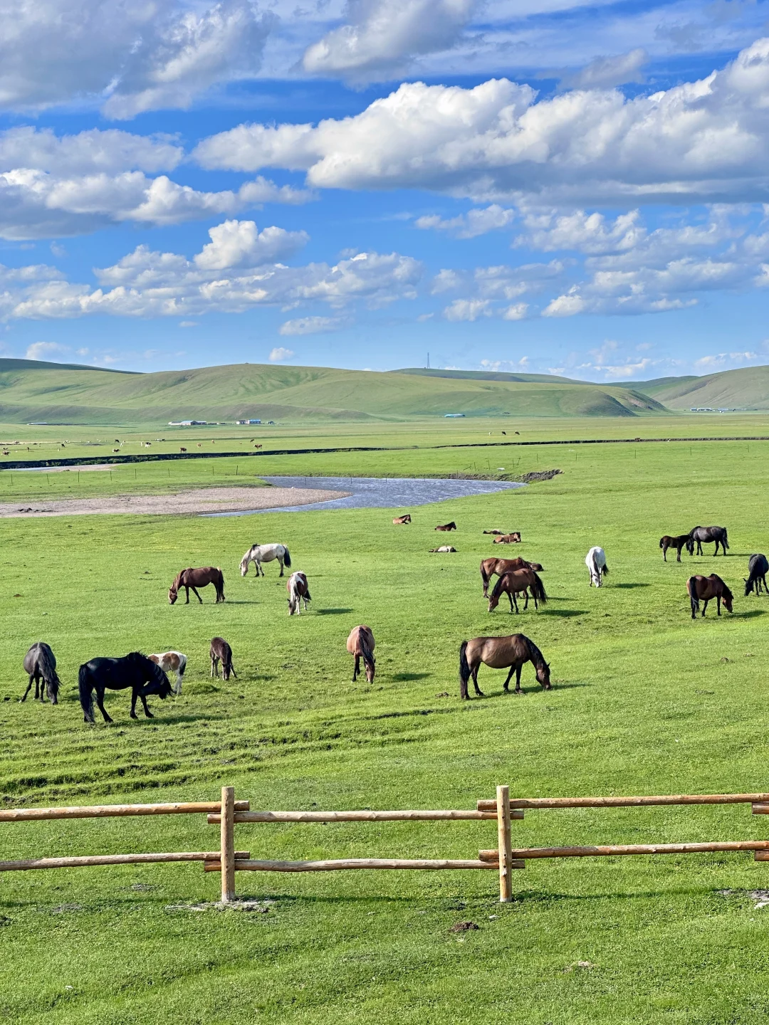 拜托🙏去呼伦贝尔遛娃一定要看这篇‼️全干货