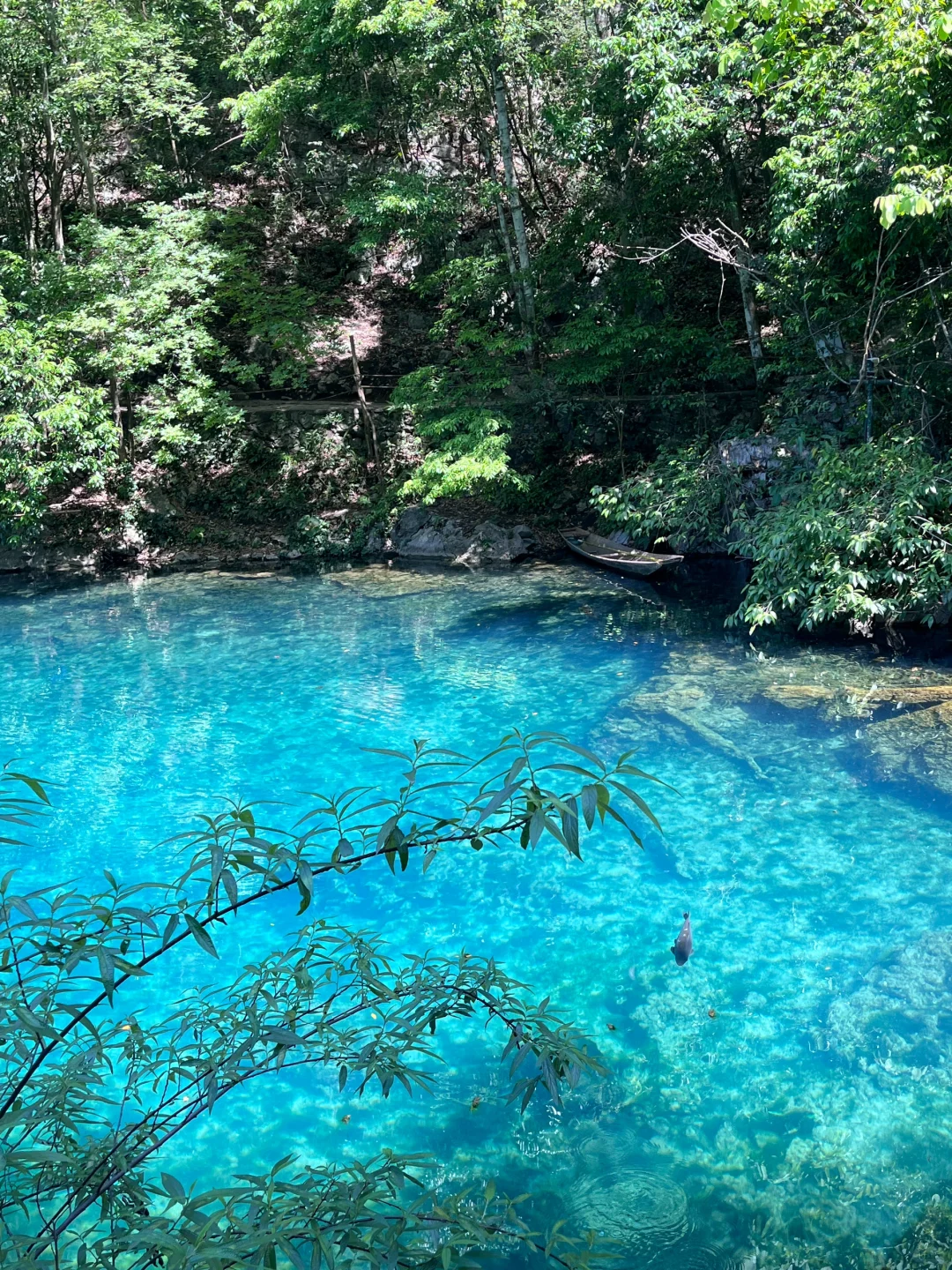 💙 “荔波小七孔，这片蓝是真实存在的吗？！”