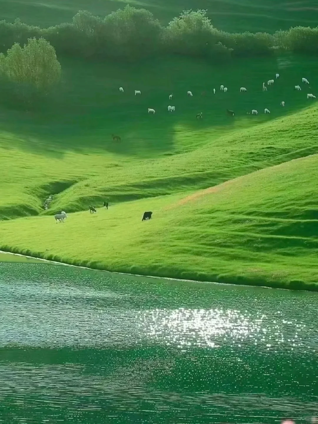 逃离40℃！躲进贵州六盘水的天然空调房