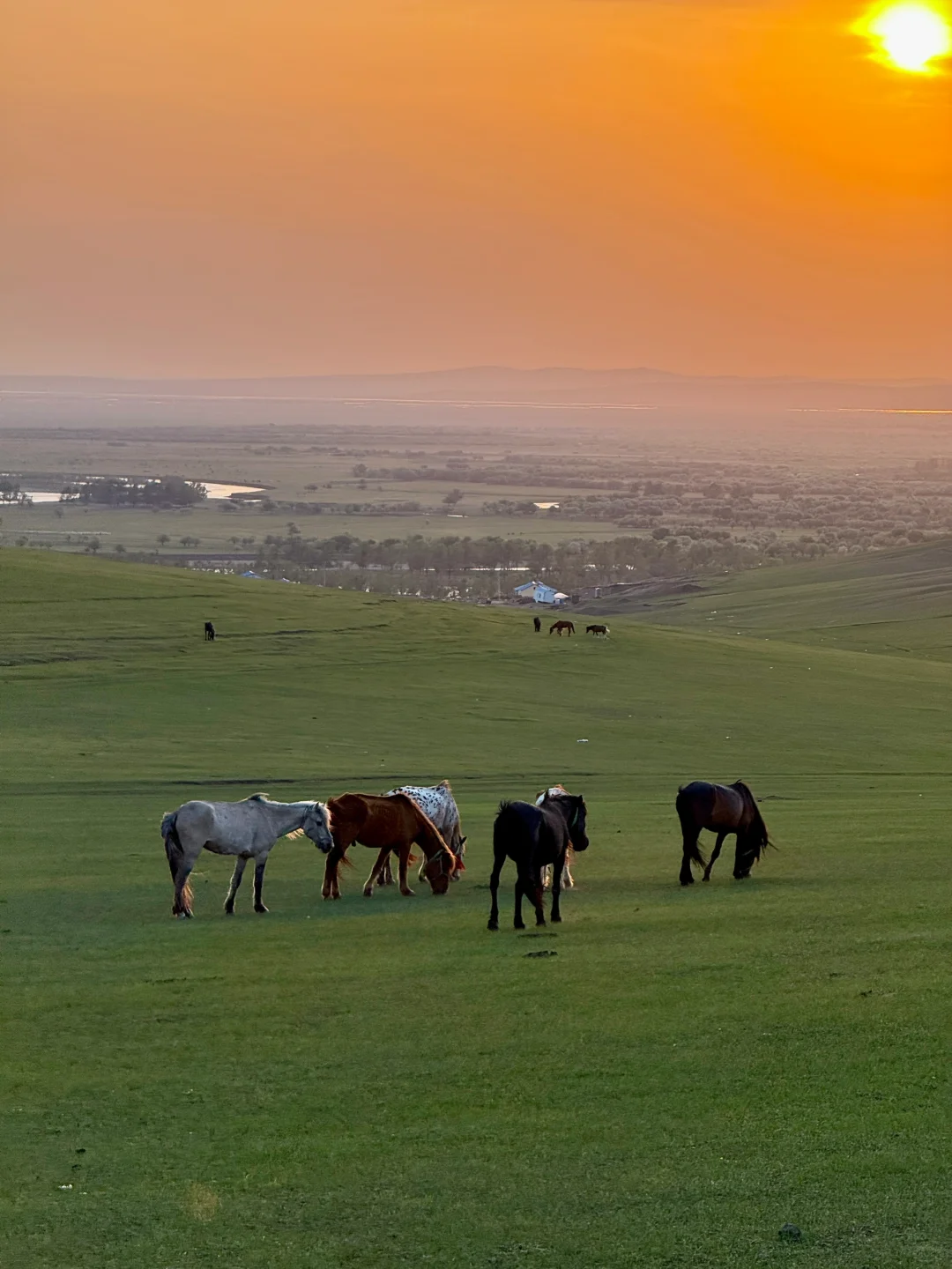 live图 被草原治愈了，美的让人失语～