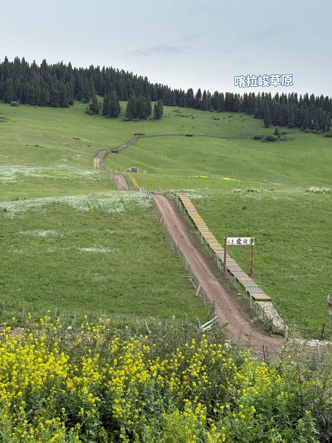 新疆｜疆缰浆江团队集合新疆！！