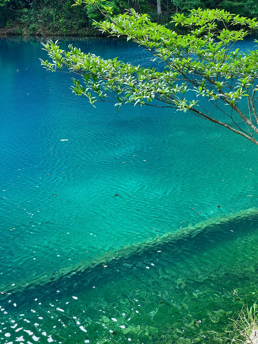 荔波｜地球上的绿宝石